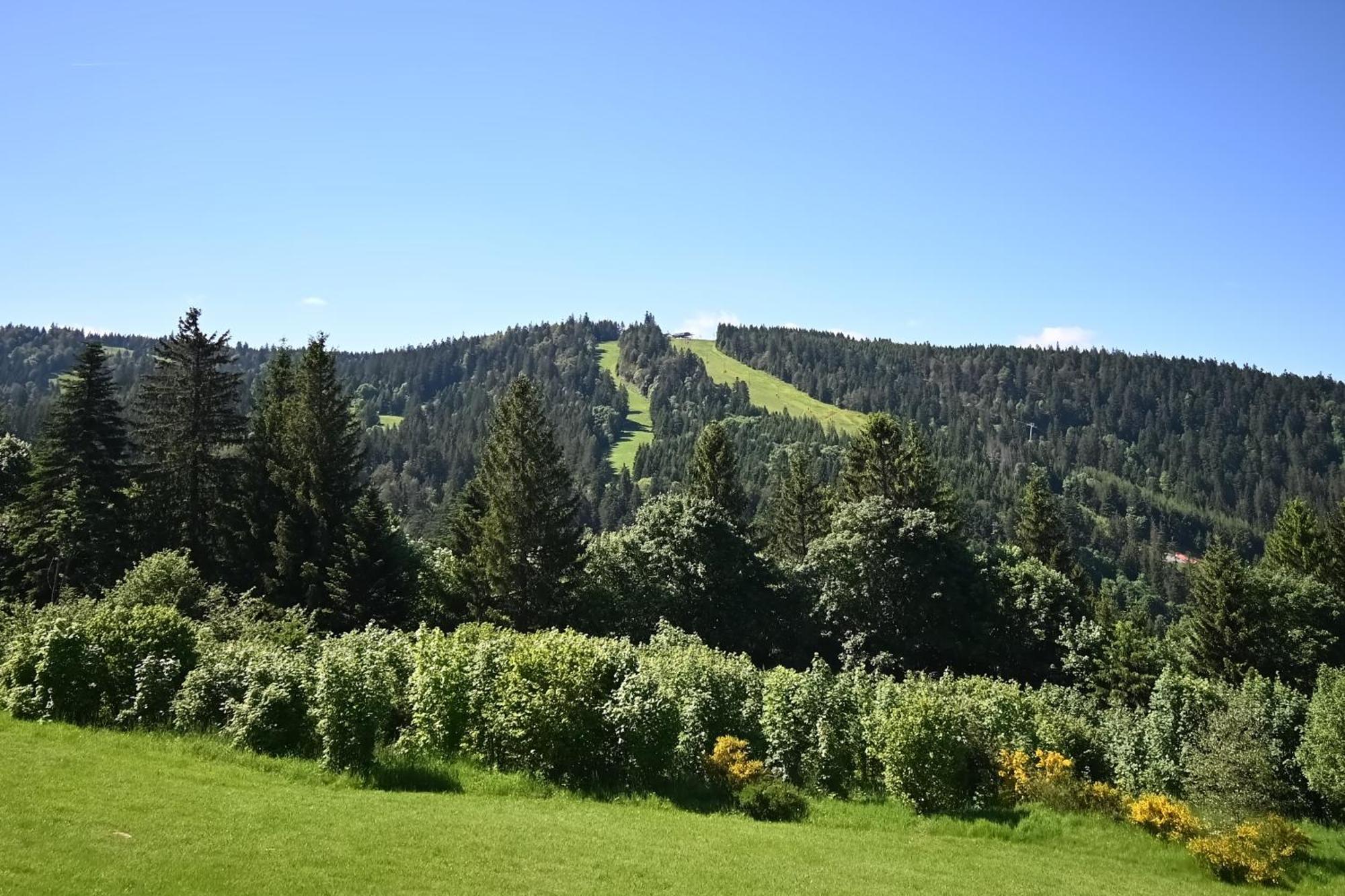 Le Nid Des Vosges - Appt Vue Montagne Leilighet Gérardmer Eksteriør bilde